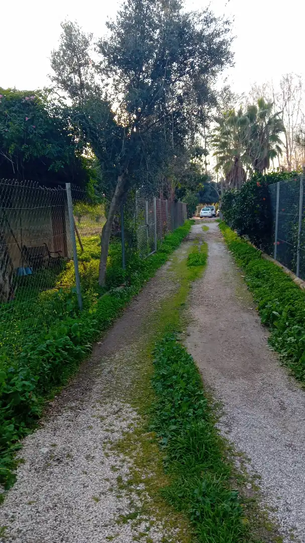 Land for sale in Era Alta