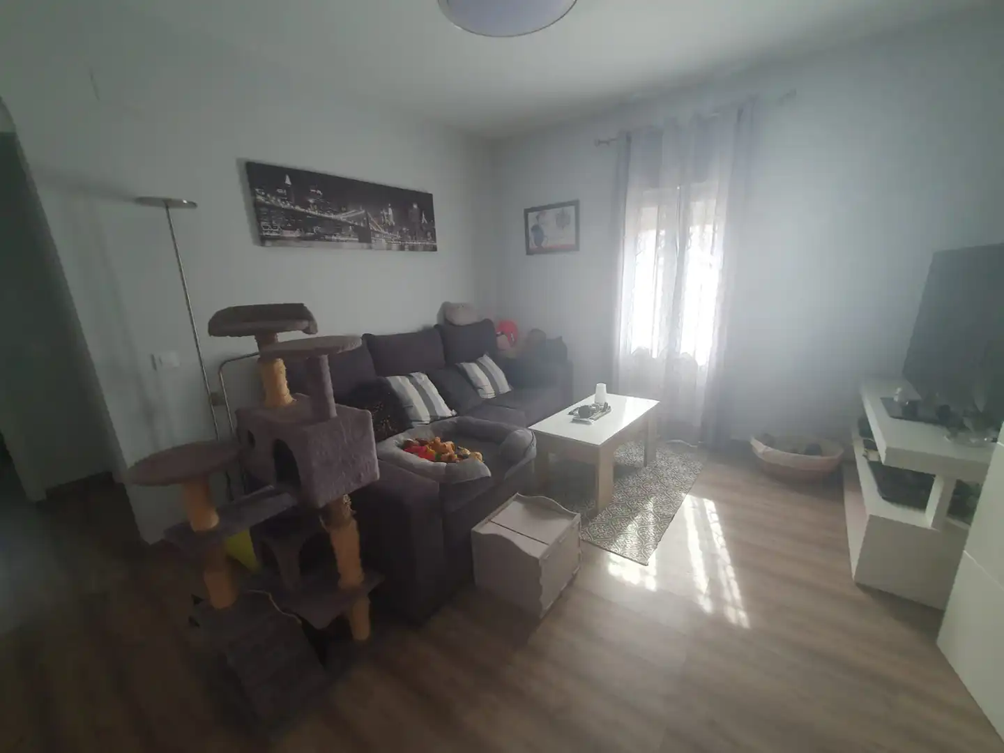 Sala de estar de Casa o chalet en venta en Puertollano con Parquet, Terraza y Amueblado