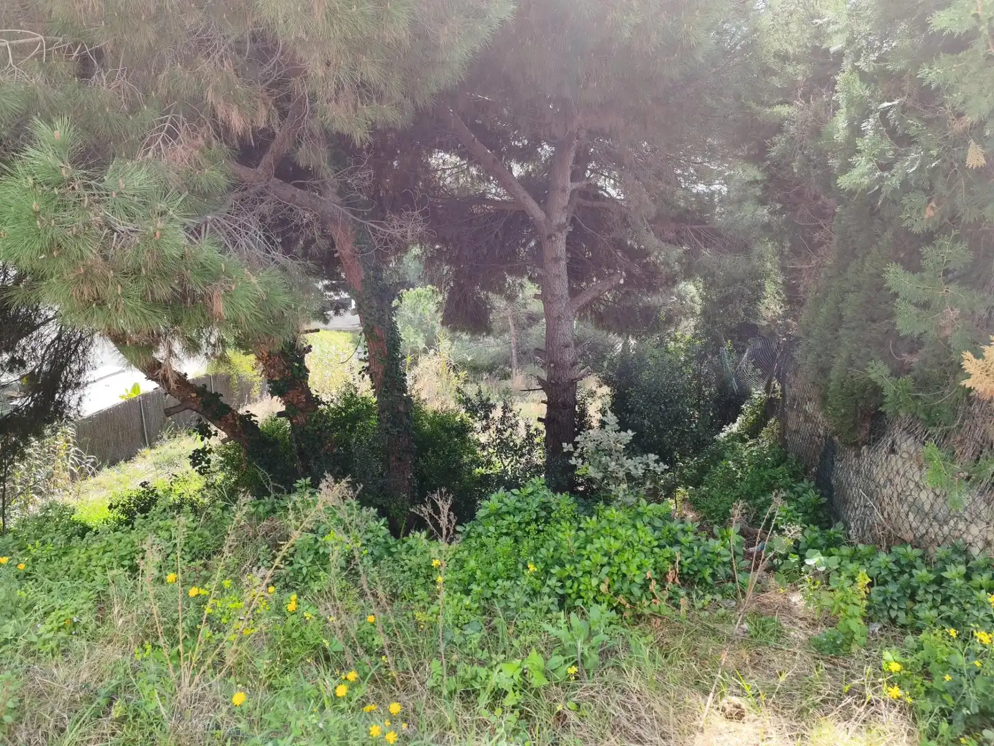 Terrain rustique à vendre à Carrer de Narcís Monturiol, imagen 5
