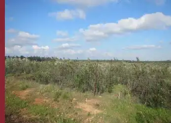 Terreni e lotti in vendita a Paraje el Encinar, imagen 9
