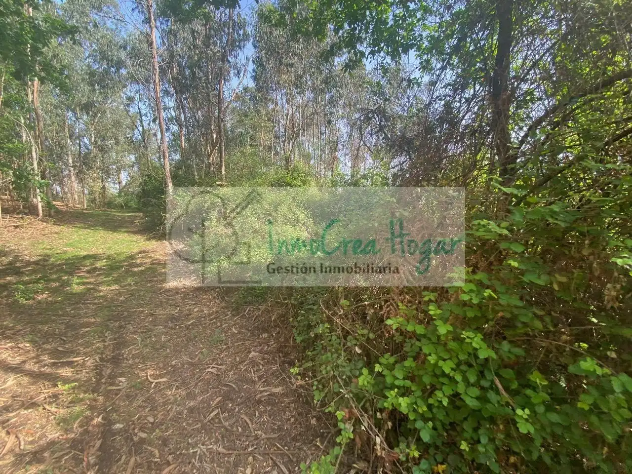 Terreny rústic en venda a Salvaterra de Miño, imagen 2