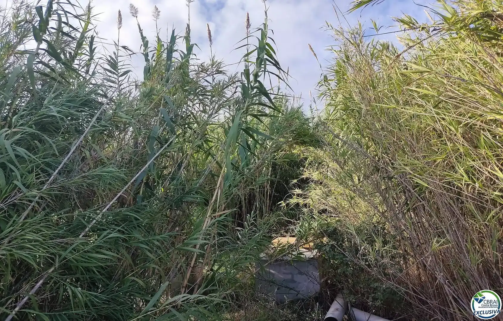 Residential land for sale in Carretera Vilamacolum 0, imagen 5