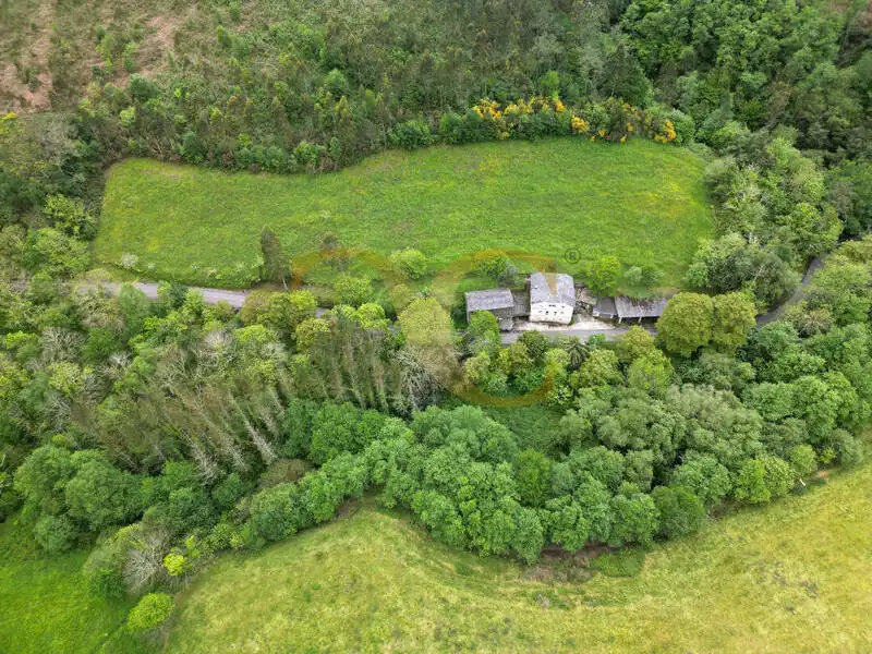 Casa o chalet en venta en Coaña