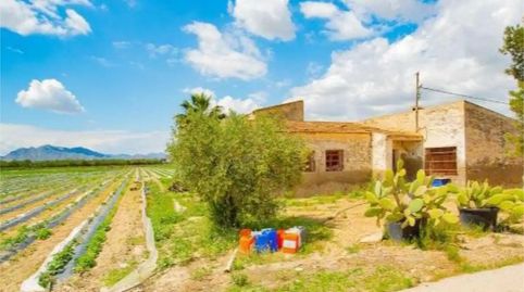 Foto 4 de Finca rústica en venda a Calle Cardenal Belluga, 11, San Isidro, Alicante