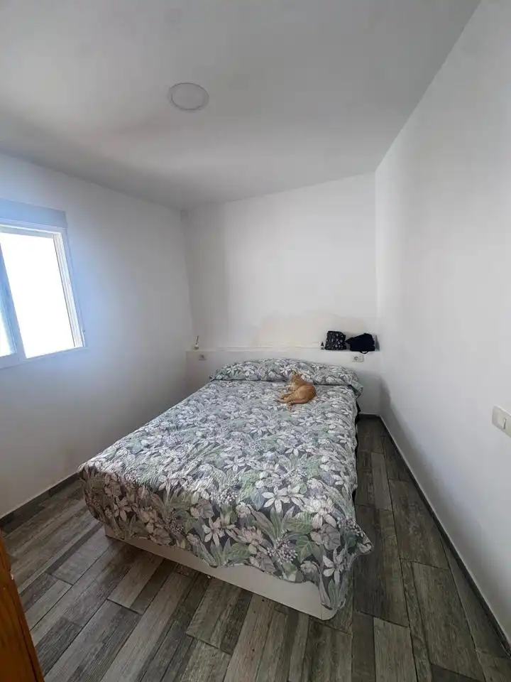 House with terrace for sale in Travesia los Barreto, imagen 14