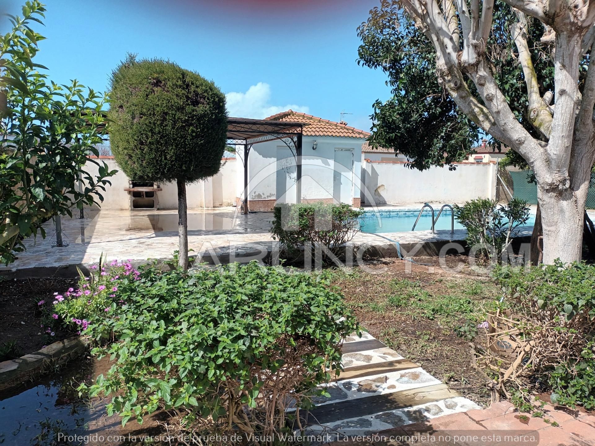 Vista exterior de Casa o xalet en venda en Chiclana de la Frontera amb Jardí privat, Traster i Piscina