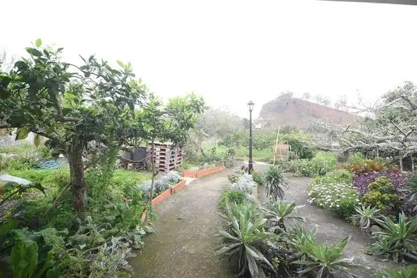 Finca rústica en venda a Calle la Caridad, Tacoronte - Los Naranjeros