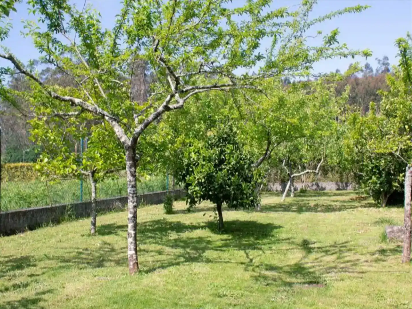 Jardí de Pis en venda en A Baña   amb Jardí privat, Parquet i Moblat
