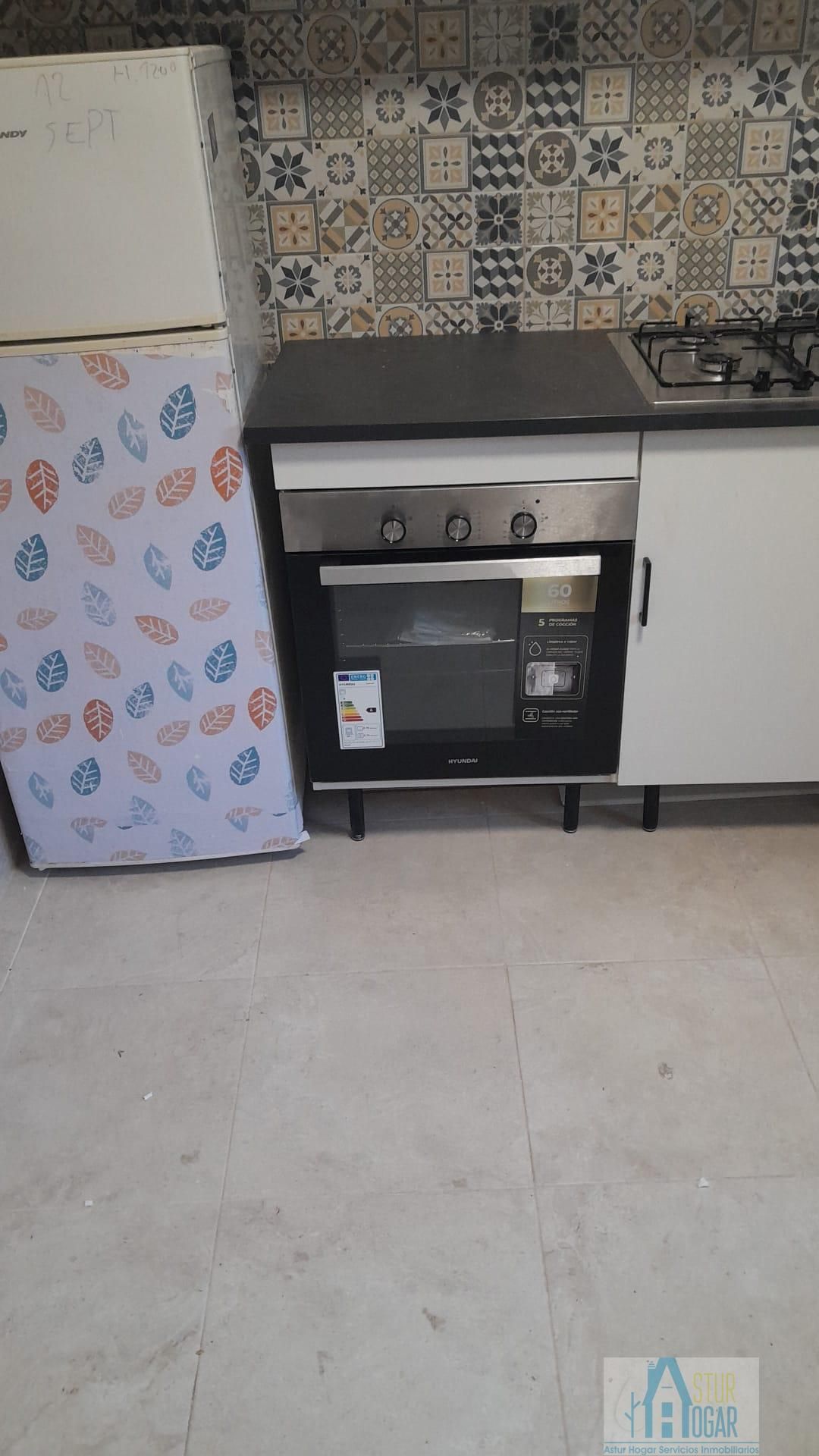 Cuina de Pis de lloguer en Avilés amb Es permeten mascotes