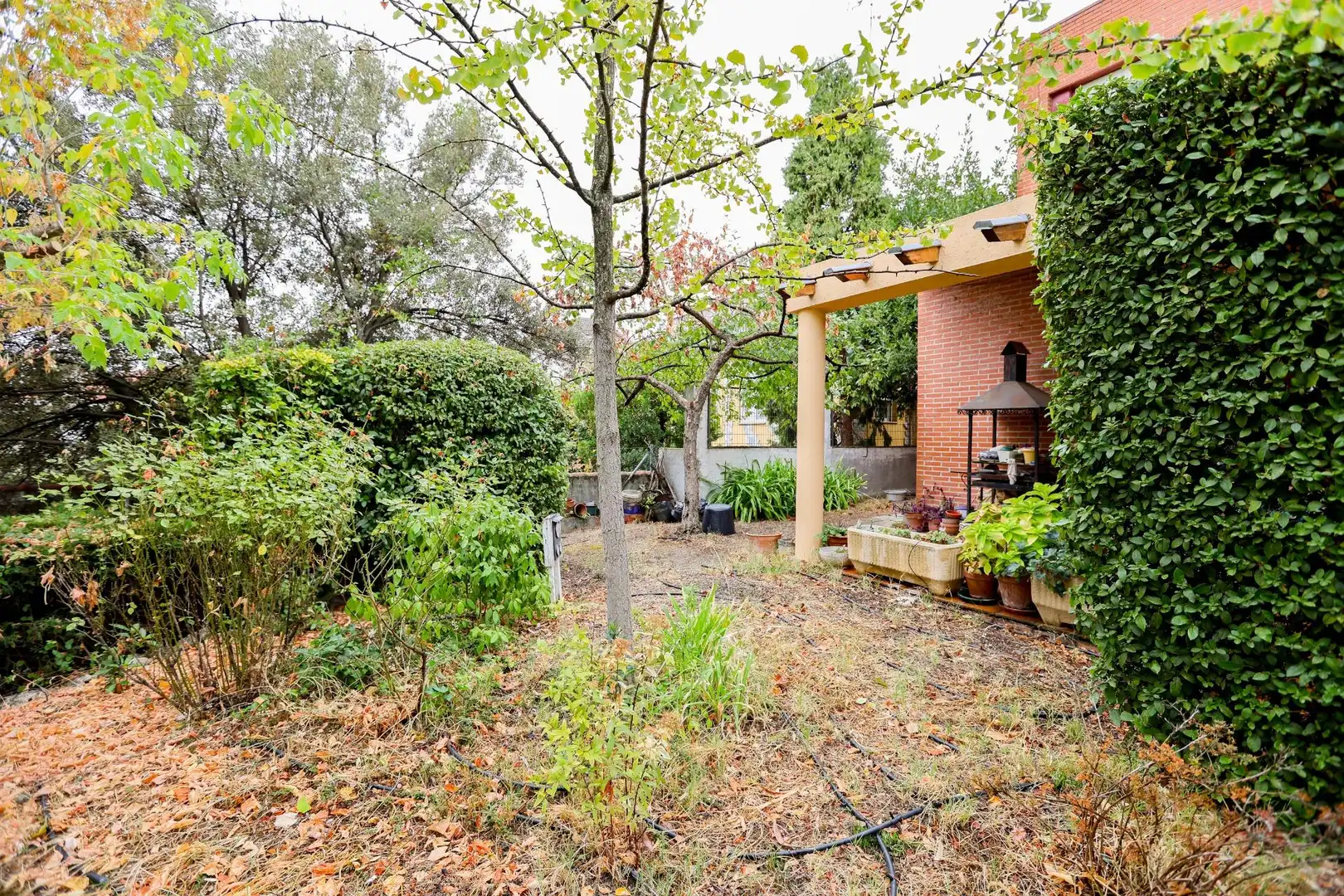 Jardín de Casa o chalet en venta en Valdemoro con Calefacción, Jardín privado y Terraza