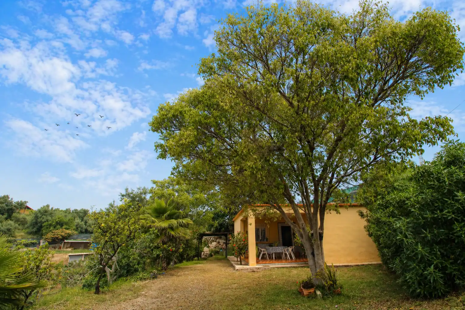 Jardín de Casa o chalet en venta en Vélez-Málaga con Calefacción y Jardín privado