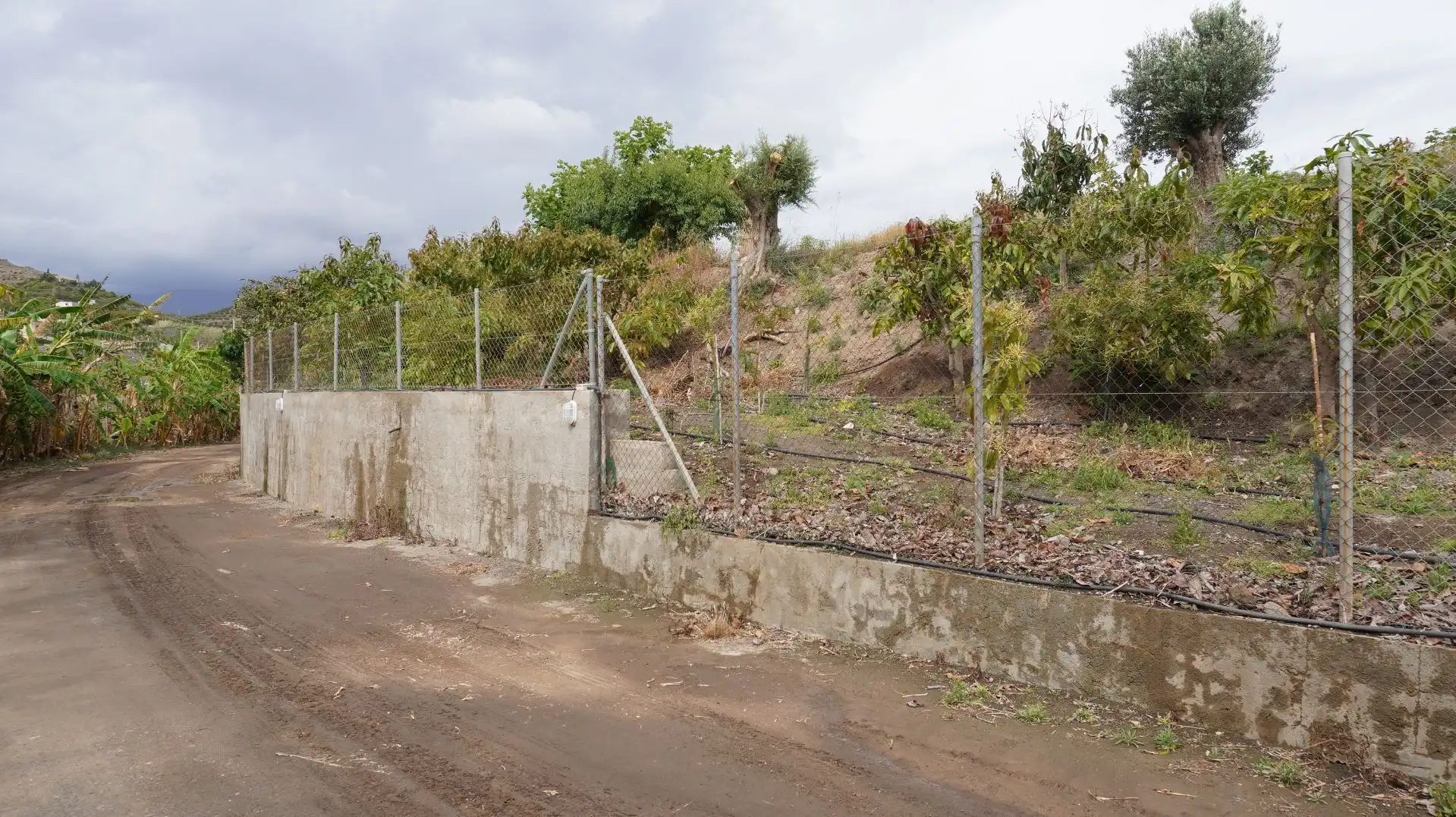 Fabrikhallen zum Verkauf in Motril