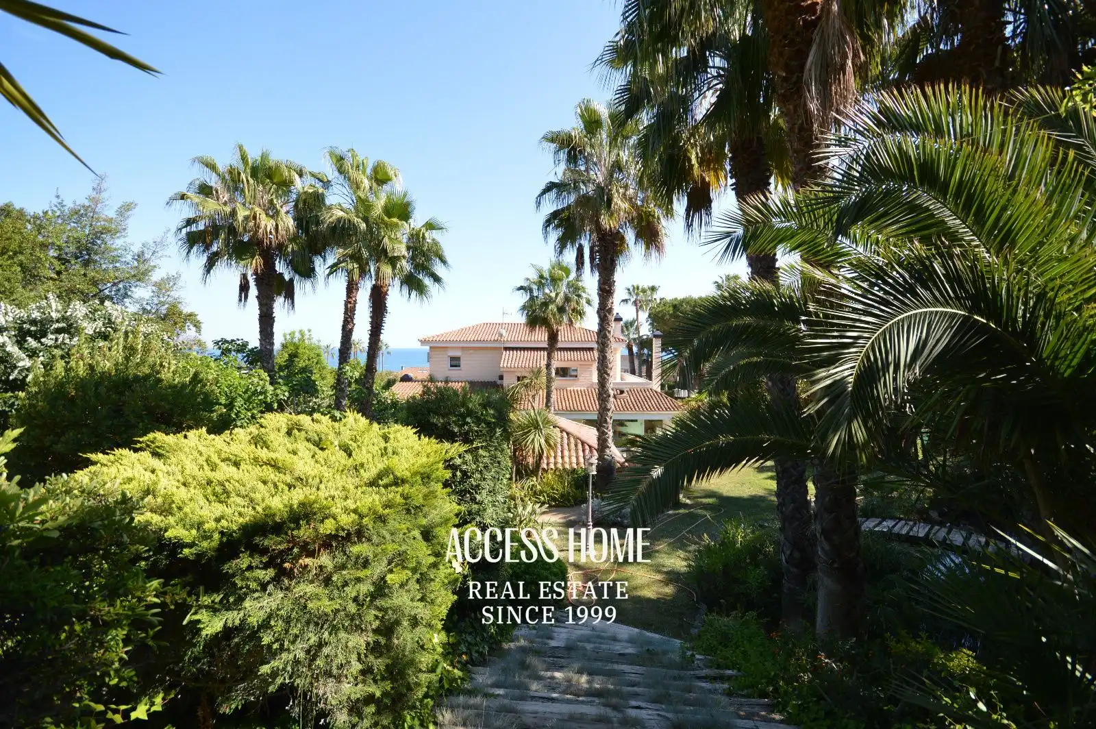 Rural land for sale in Alella, imagen 3