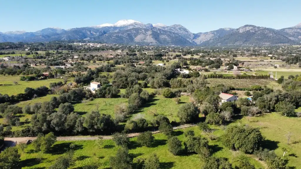 Terrain rustique à vendre à Selva, imagen 12