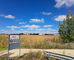 Terreny en venda en Encinas de Abajo