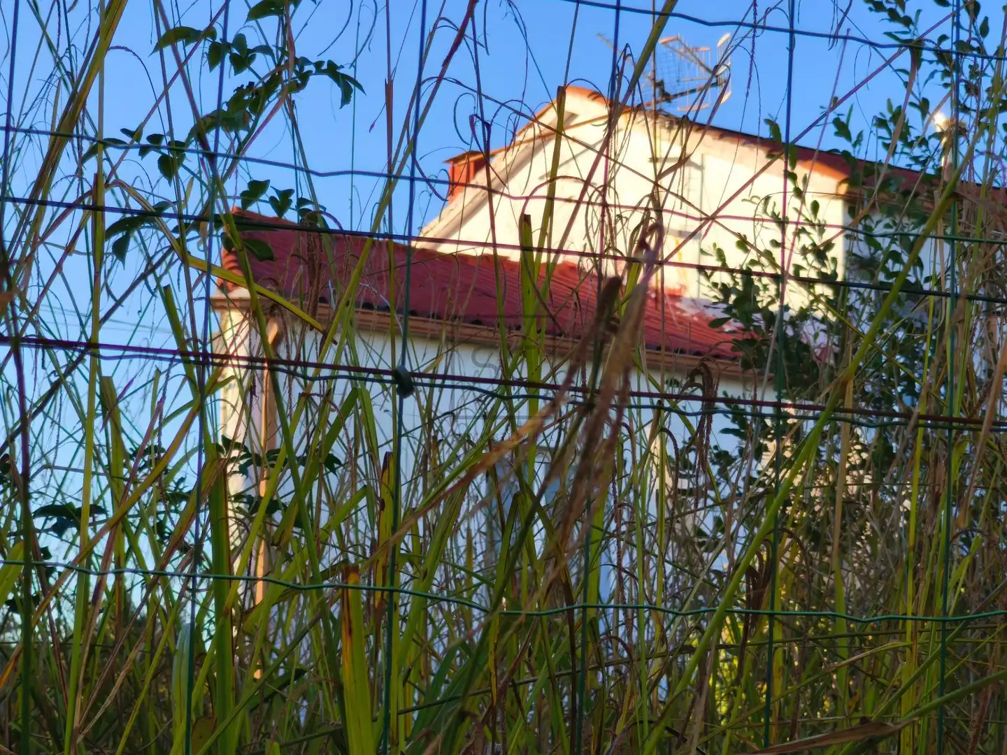 Exterior view of Detached homes for sale in Ferrol  with Heating, Private garden and Storage room