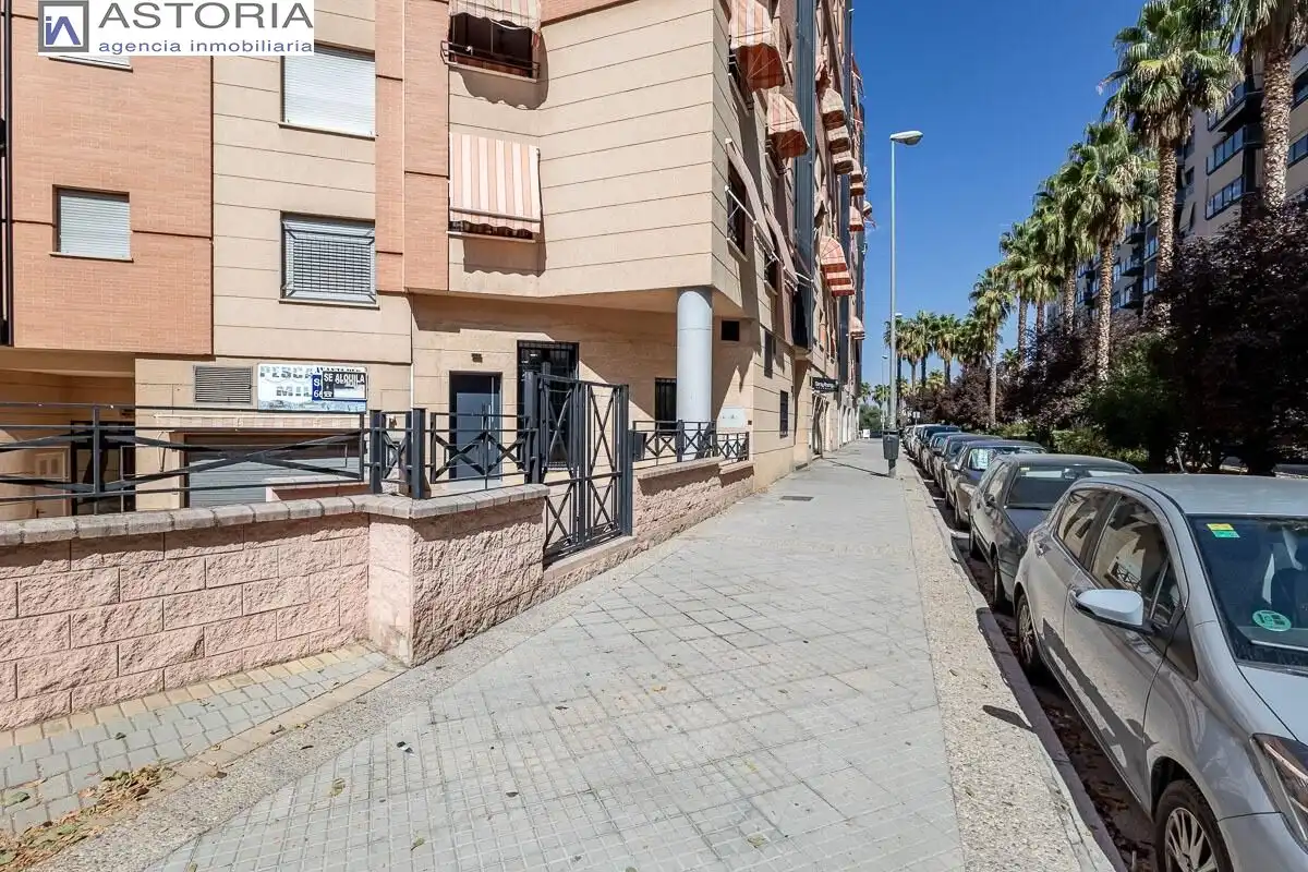 Baixos amb piscina en venda a Calle PDTA RAFAEL GAGO PALOMO 9, imagen 27