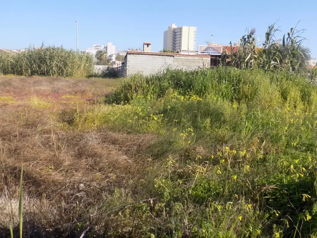 Terreno residencial en venta en Ronda de les Marjals, imagen 7