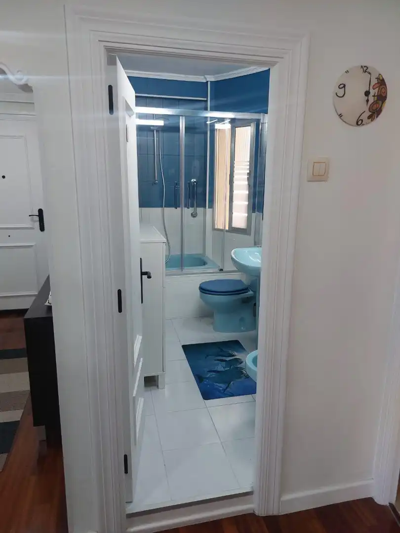 Flat with lift for sale in Calle Calle Brasil, imagen 32