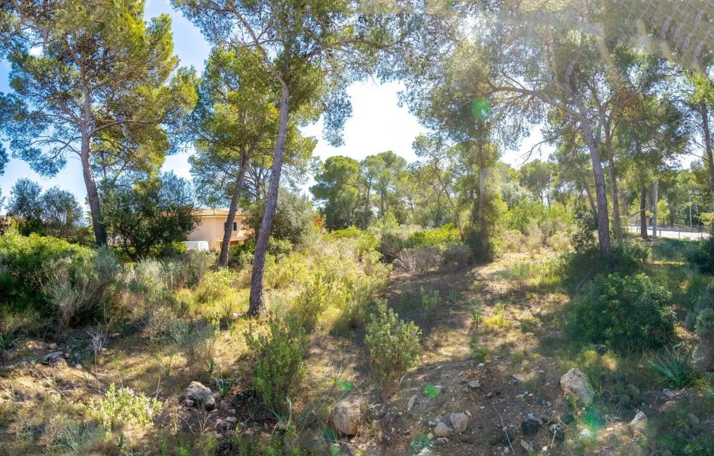 Terreno residencial en venta en Cala Vinyes, imagen 6