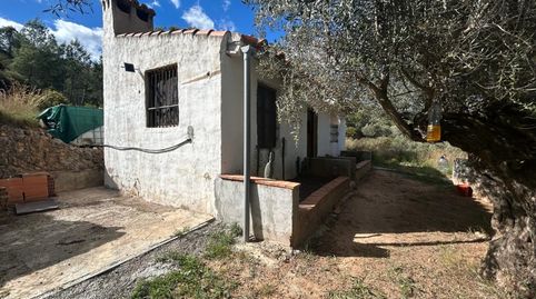 Foto 5 de Finca rústica en venta en Partida Berro, Altura, Castellón