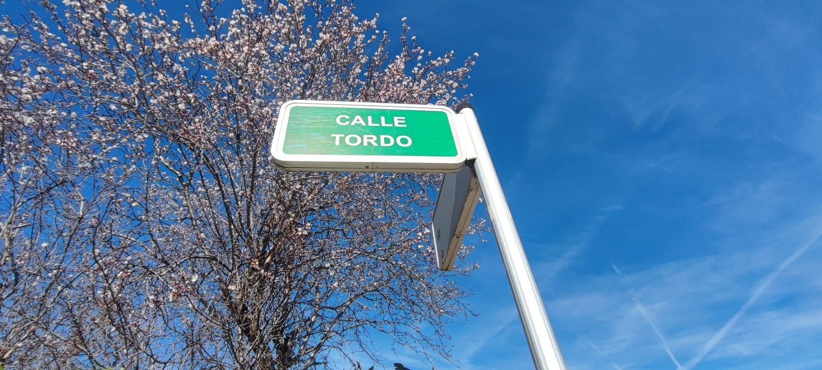 Vista exterior de Residencial en venda en Camarma de Esteruelas