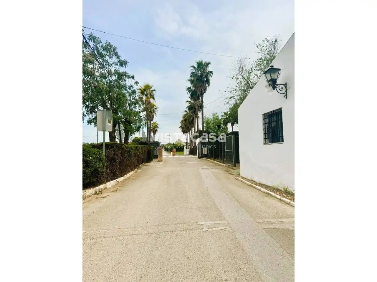 Vista exterior de Casa o chalet en venta en Carmona con Calefacción, Jardín privado y Terraza
