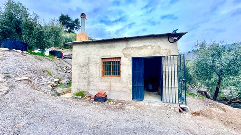Finca de Olivos con Nave Agrícola en Picena, immagine 3