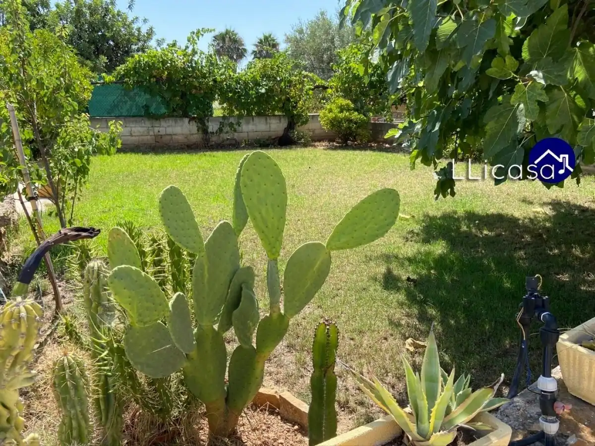 Casa o chalet de alquiler en Urbanizacion Pitillo, Santa Bárbara