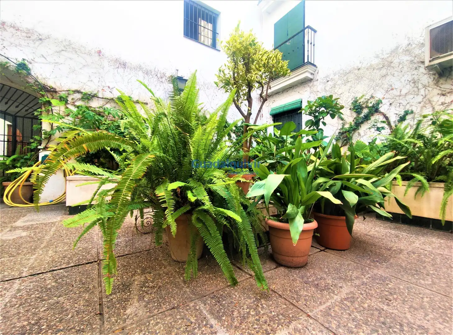 Jardí de Pis de lloguer en Sevilla amb Aire condicionat, Moblat i Balcó