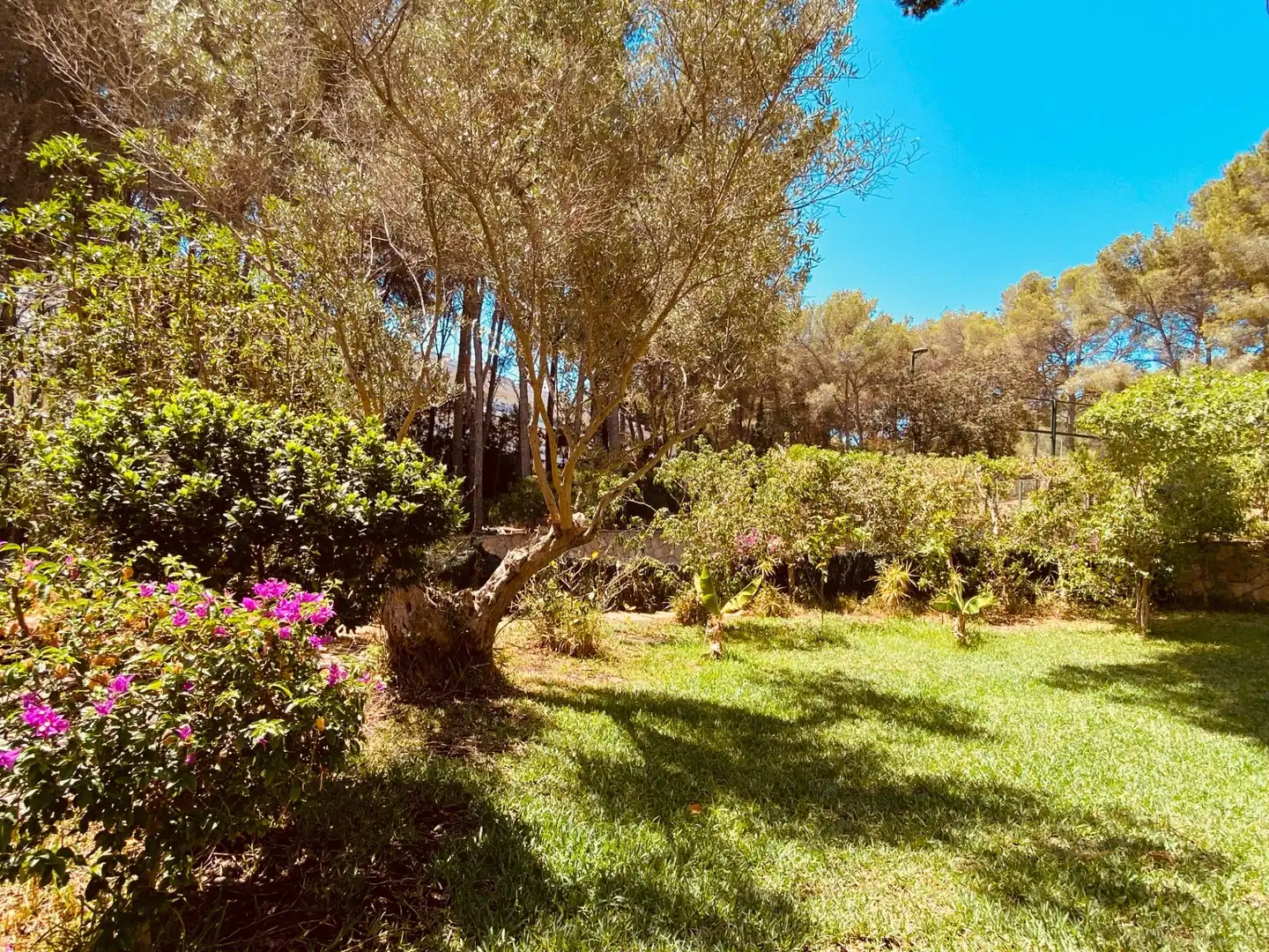 Jardí de Planta baixa en venda en Calvià amb Aire condicionat, Calefacció i Jardí privat