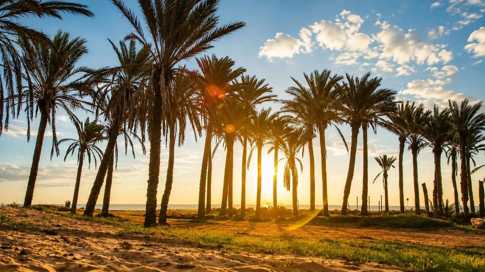 Vista exterior de Apartament en venda en Playa del Acequión, Náufragos y Rocío del Mar