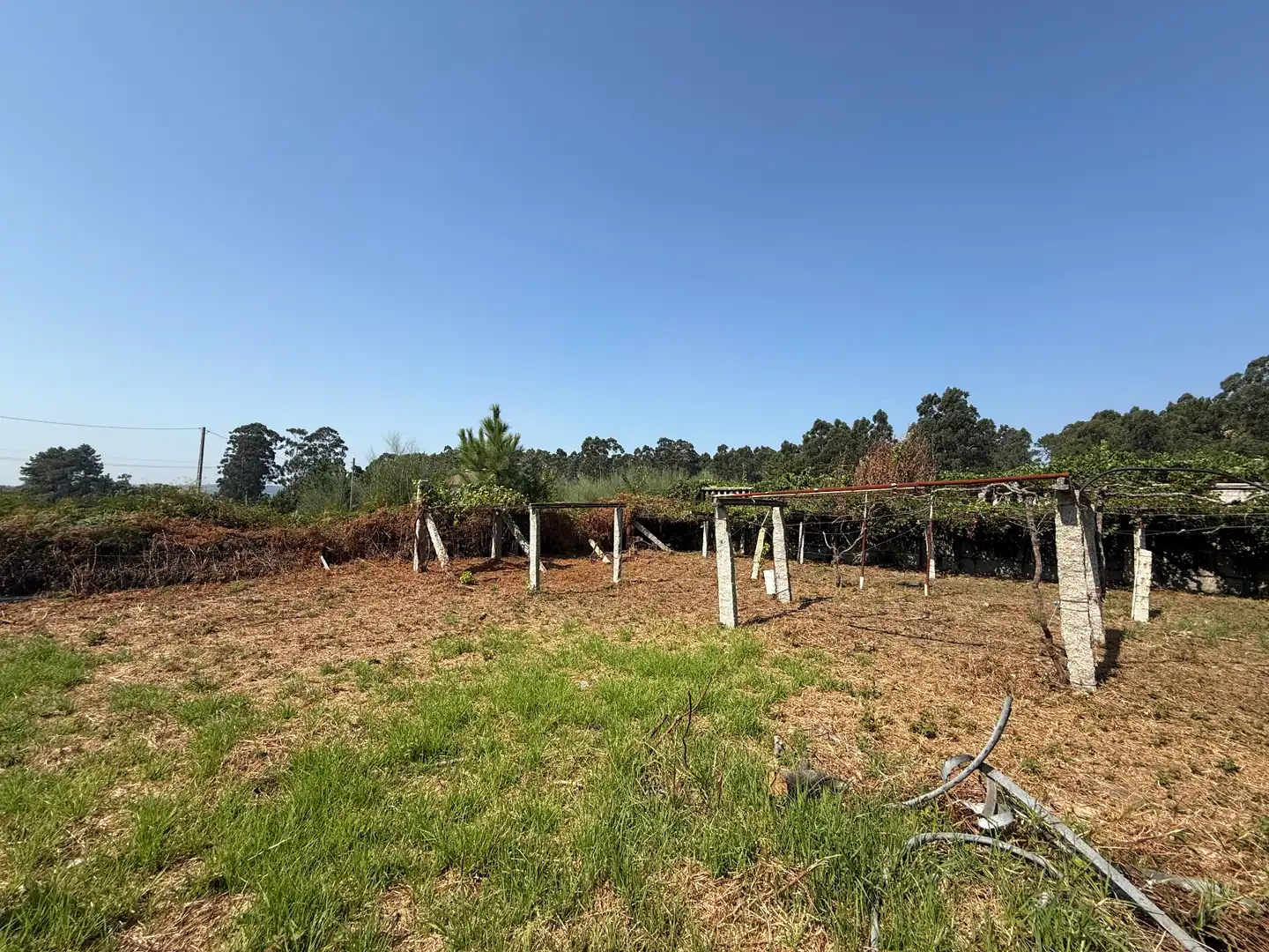 Finca rústica en venda en Cambados amb Jardí privat