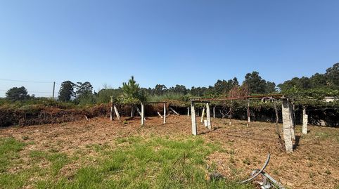 Foto 4 de Finca rústica en venda a Lugar Xesteira, Cambados, Pontevedra