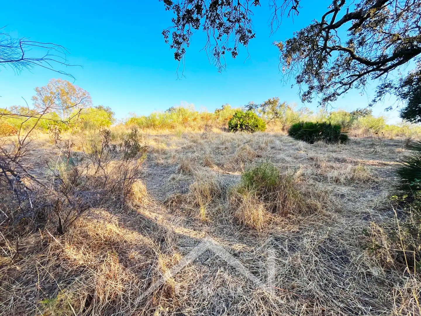 Terreno en venta en Guillena