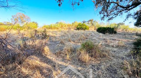 Photo 5 of Land for sale in  Guillena, Guillena pueblo, Sevilla