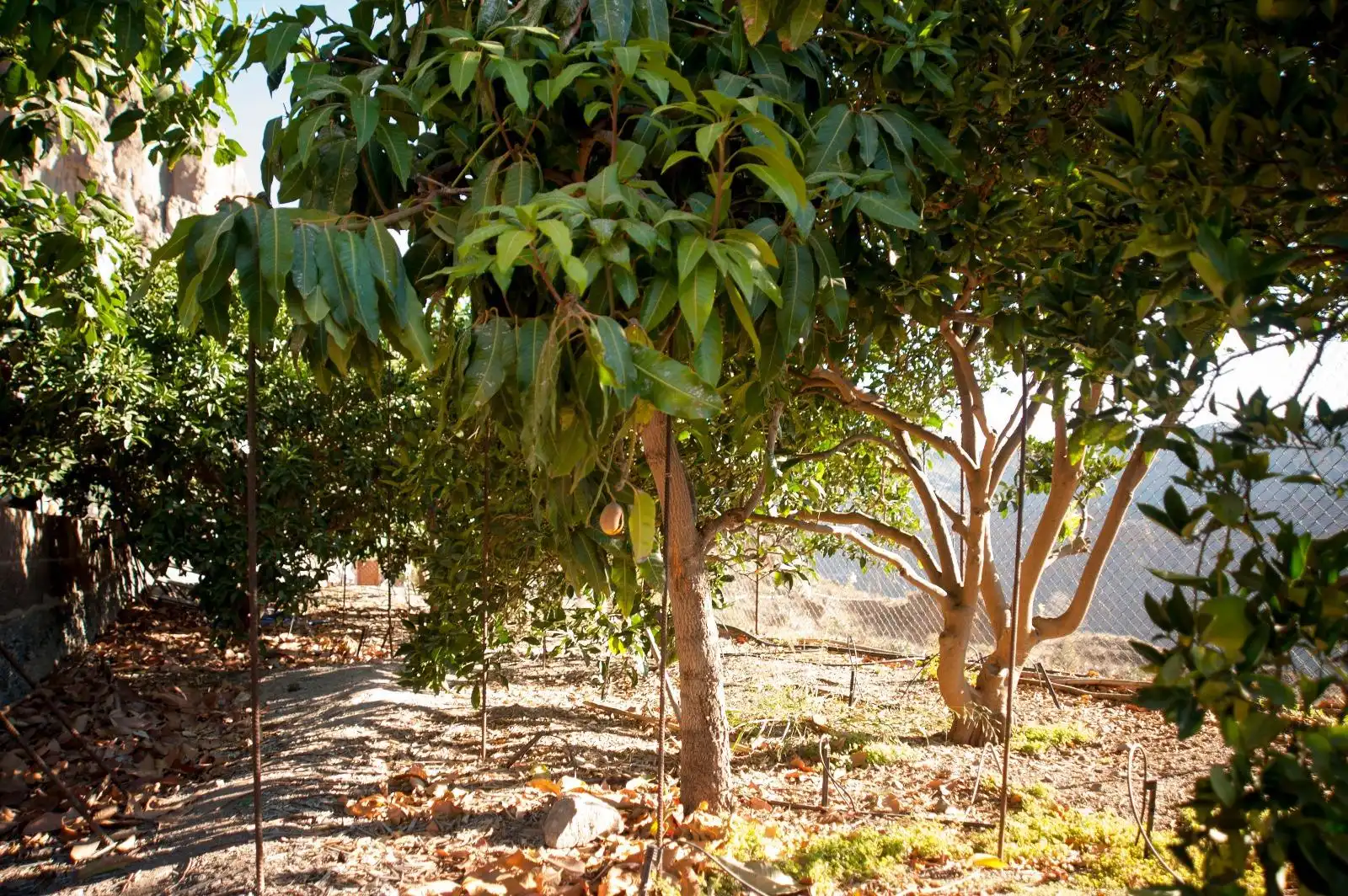 Country house for sale in El Horno, imagen 38