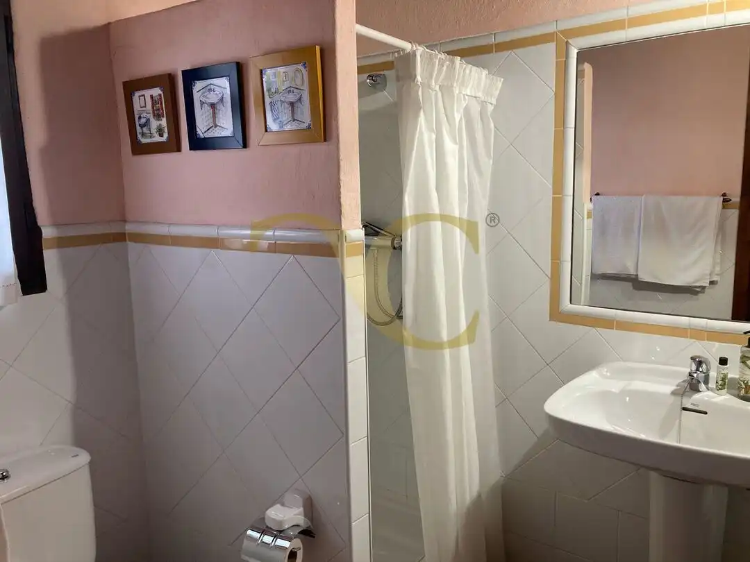 Bathroom of Houses for sale in Peñamellera Baja