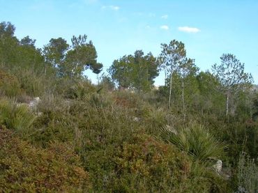 Terreny residencial en venda a Avinyonet del Penedès