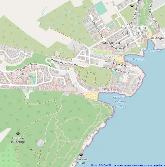 Casa pareada con piscina en venta en Porto Cristo, imagen 11