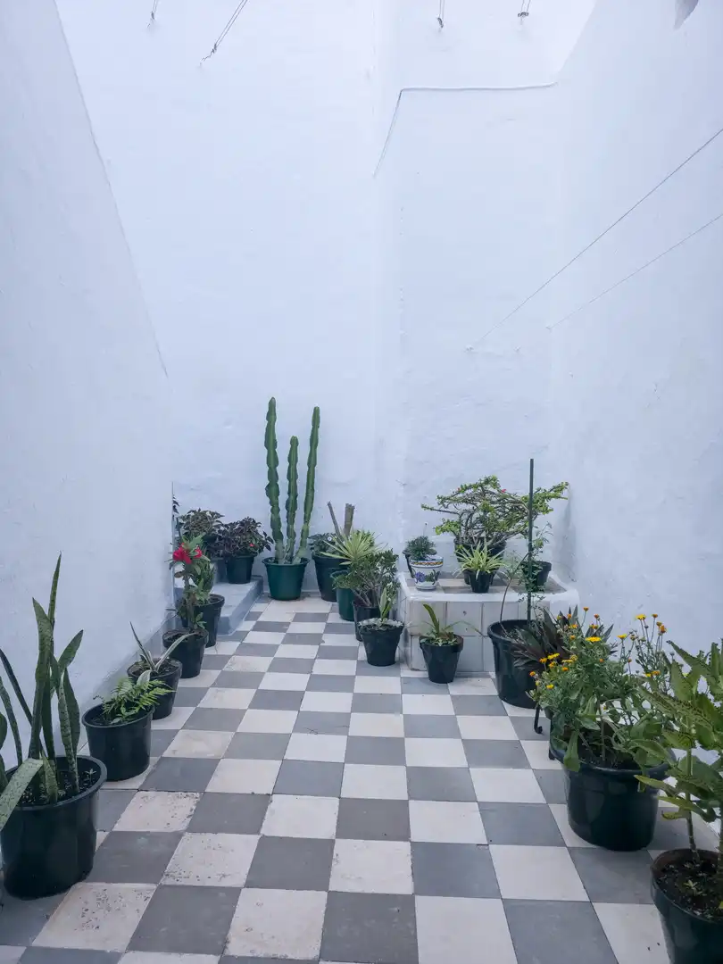 Apartment for sale in Vejer, imagen 31