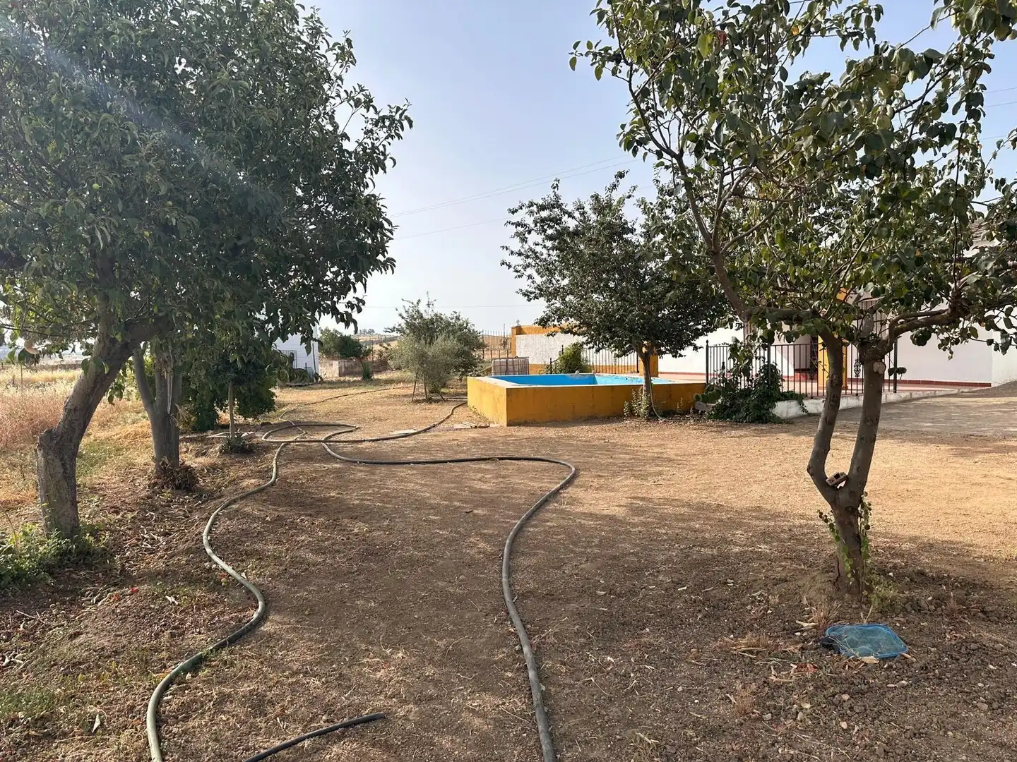 Rural land for sale in Fuente Obejuna, imagen 10