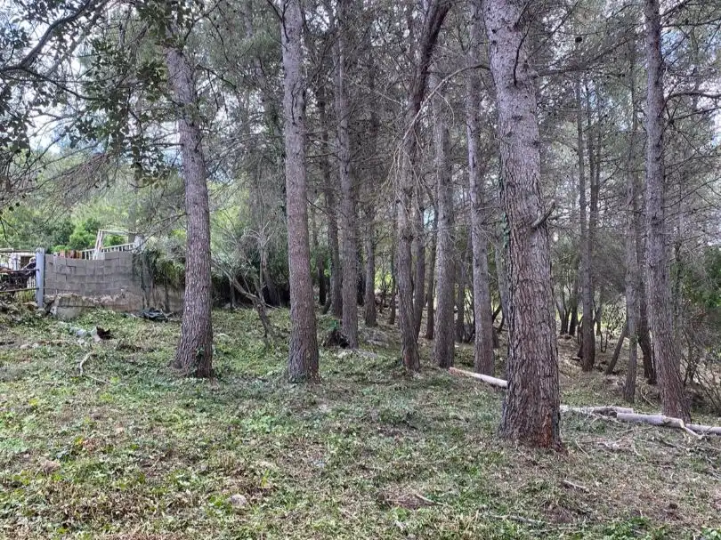 Terreno residencial en venta en Sant Sever 45, imagen 9
