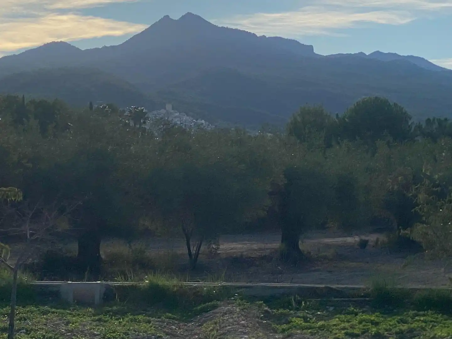 Terreny rústic en venda a Moratalla, imagen 15