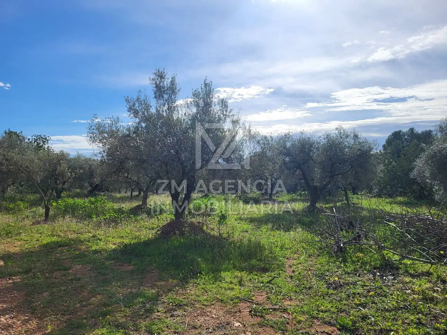 Rural land for sale in Vilagrós, imagen 6