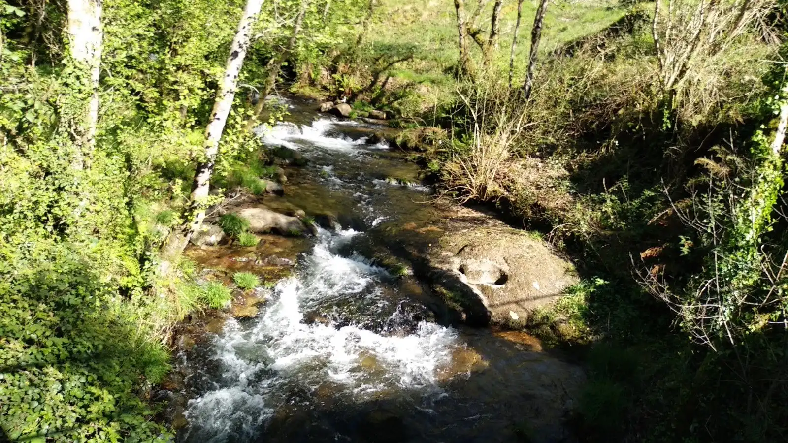 Vista exterior de Finca rústica en venta en Gondomar con Trastero