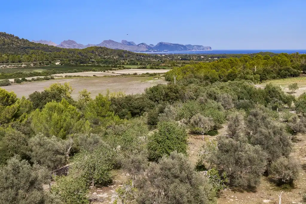 Terreno rustico in vendita a Pollença Poble, imagen 5