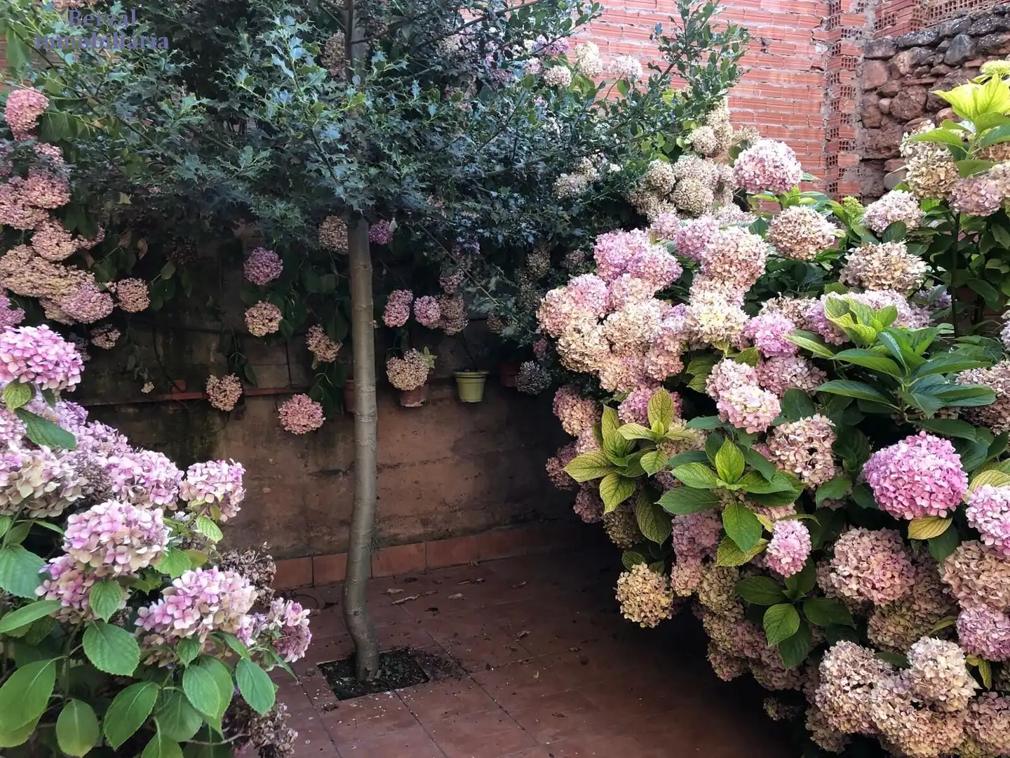 Jardí de Casa o xalet en venda en Baños de Río Tobía amb Traster, Moblat i Balcó