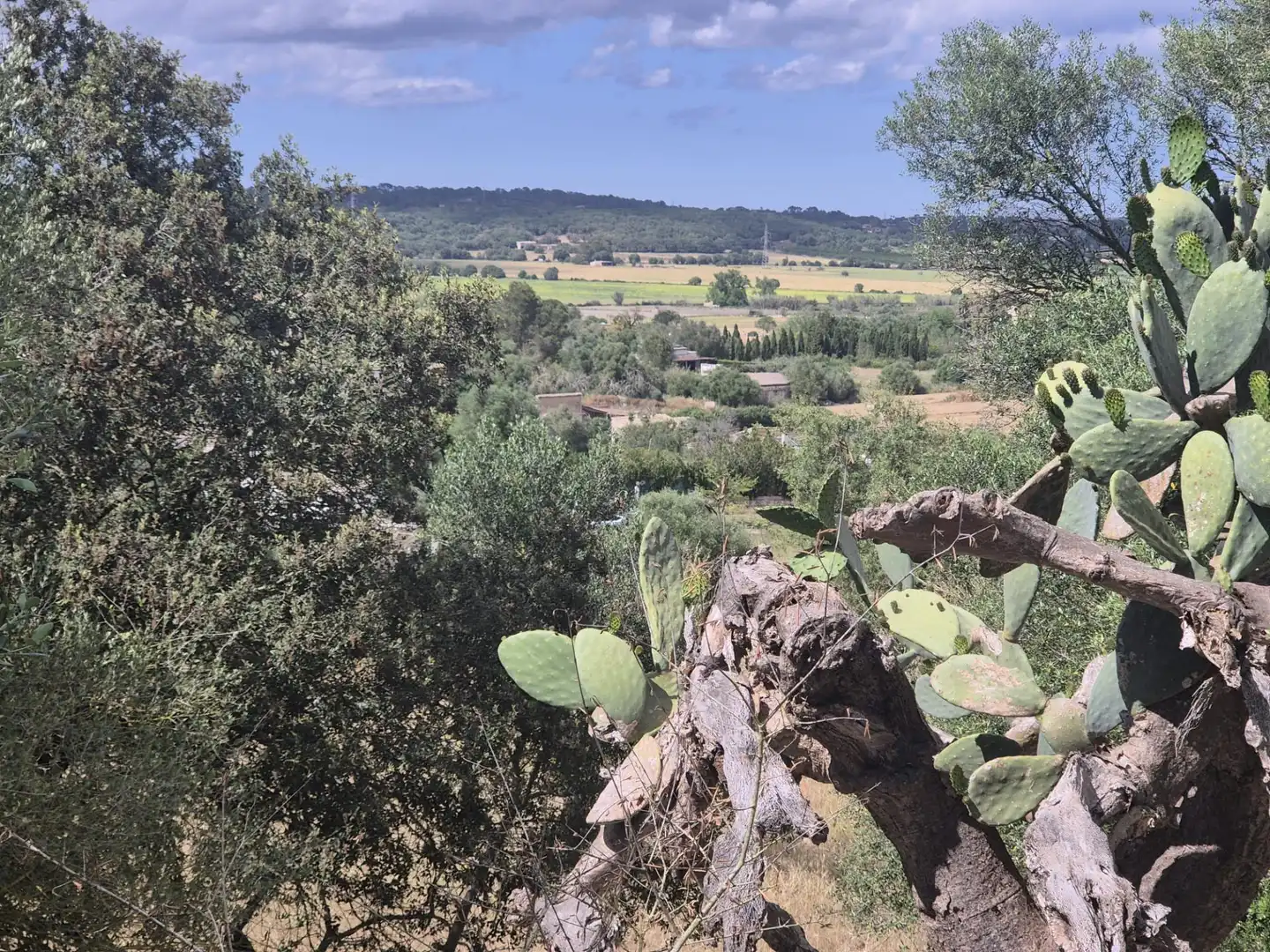 Casa rústica con jardín en venta en Sineu, imagen 20