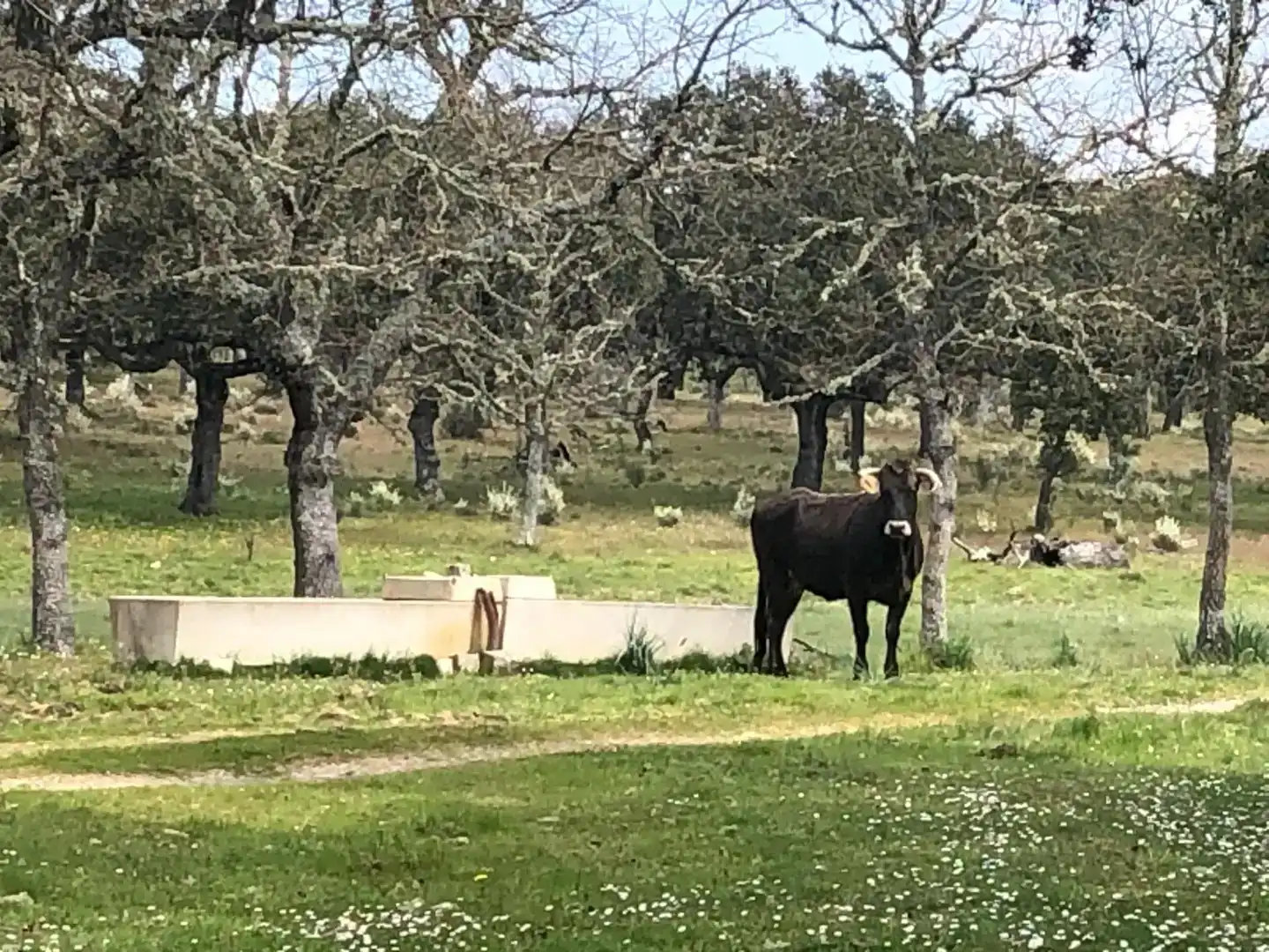 Vista exterior de Terreno en venta en Fuentes de Oñoro